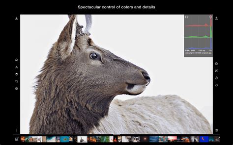 Free Polarr Photo Editor